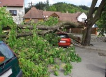 Kwikfynd Tree Cutting Services
queanbeyanwest